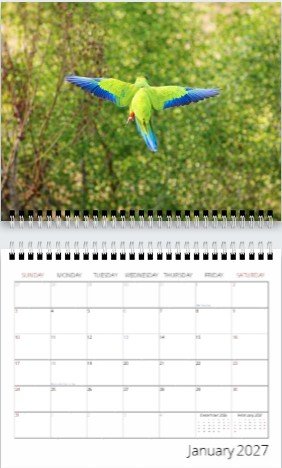 January 2027 calendar preview featuring a Florida parrot photograph by Dan Bourret